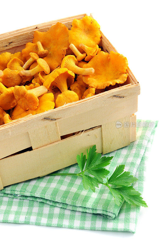 金色鸡油菌(Cantharellus cibarius)放在薯片篮子里